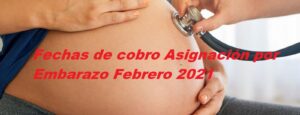 Fechas de cobro Asignación por Embarazo Febrero 2021